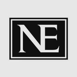 NE Capital, LLC logo