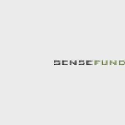 Common Sense Investment Fund, Inc logo